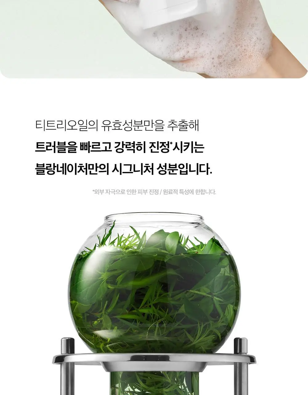 [여드름 기능성/피지케어] 블랑네이처 아크네 클렌징 폼 단품/기획 상세페이지 29